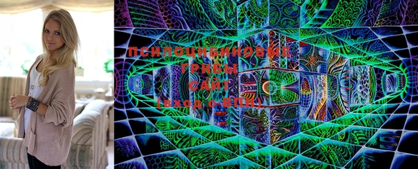 марки nbome Семёнов