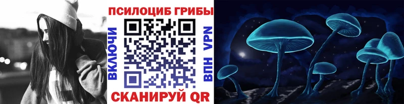 Галлюциногенные грибы Magic Shrooms  закладка  Шумиха 